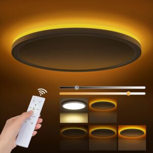 24W Dimmable LED Ceiling Light, LED...
