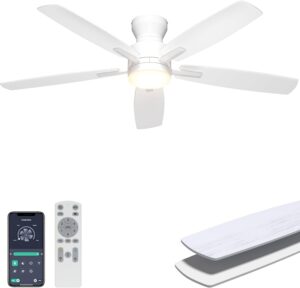 Ohniyou Ceiling Fans with Lights, 5...