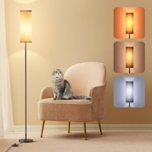 Modern Floor Lamp with Dimmable 3 C...