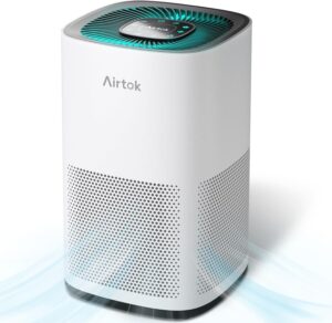 Air Purifiers Large Room with H13 T...