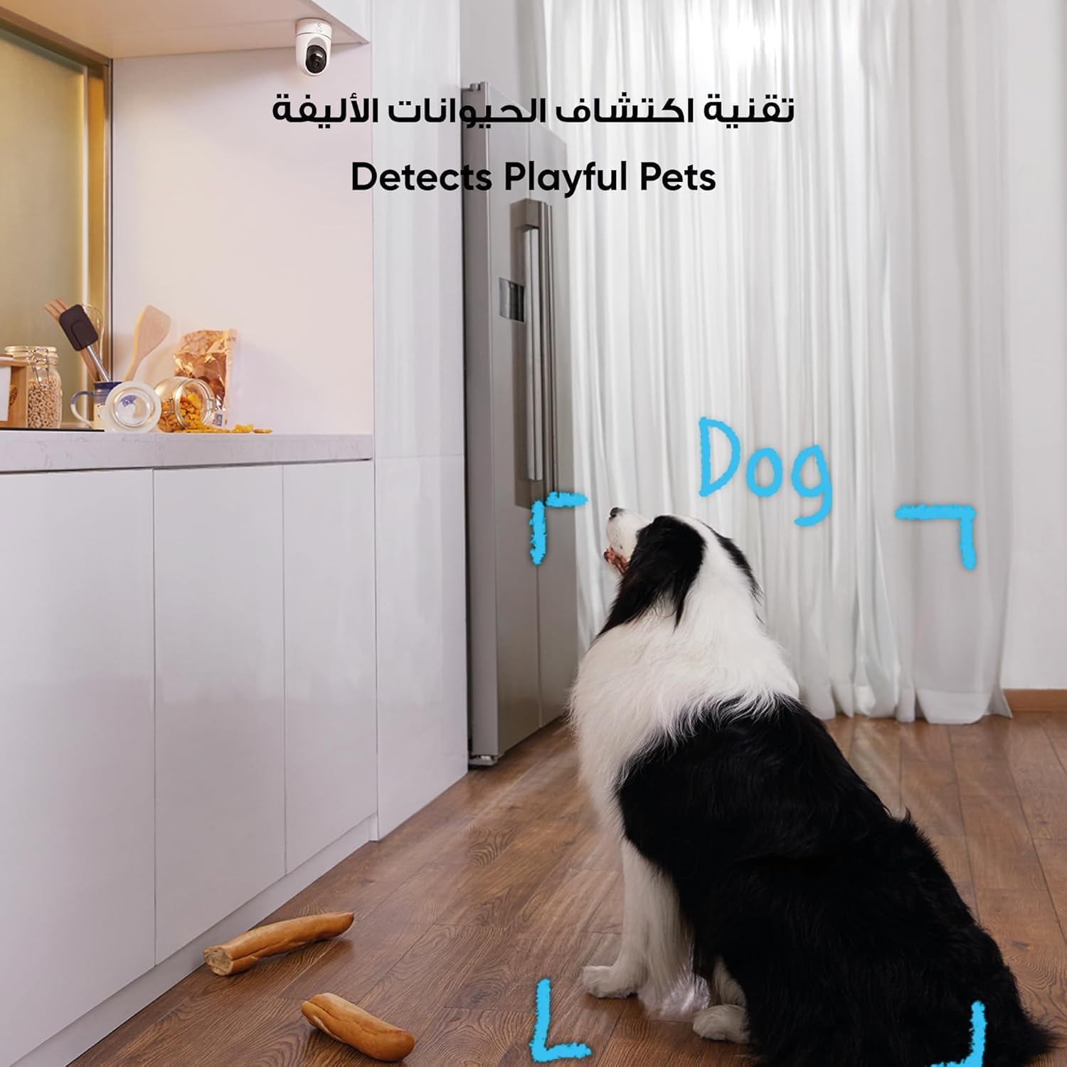 eufy Security Solo IndoorCam E220 (P24) 2K Pan&Tilt Home Security Camera Indoor Wi-Fi Plug-in Cam, Human & Pet AI, Voice Assistant Compatibility, Night Vision, Motion Tracking, Homebase not Compatible - الصورة 3