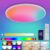 Redare Smart Ceiling Light,RGB Bluetooth Ceiling Lamp,30cm 24W Dimmable LED Flush Mount Light,App+Remote Control Color Changing surface-mount Lamp for Bedroom,Kitchen (White, Bluetooth)